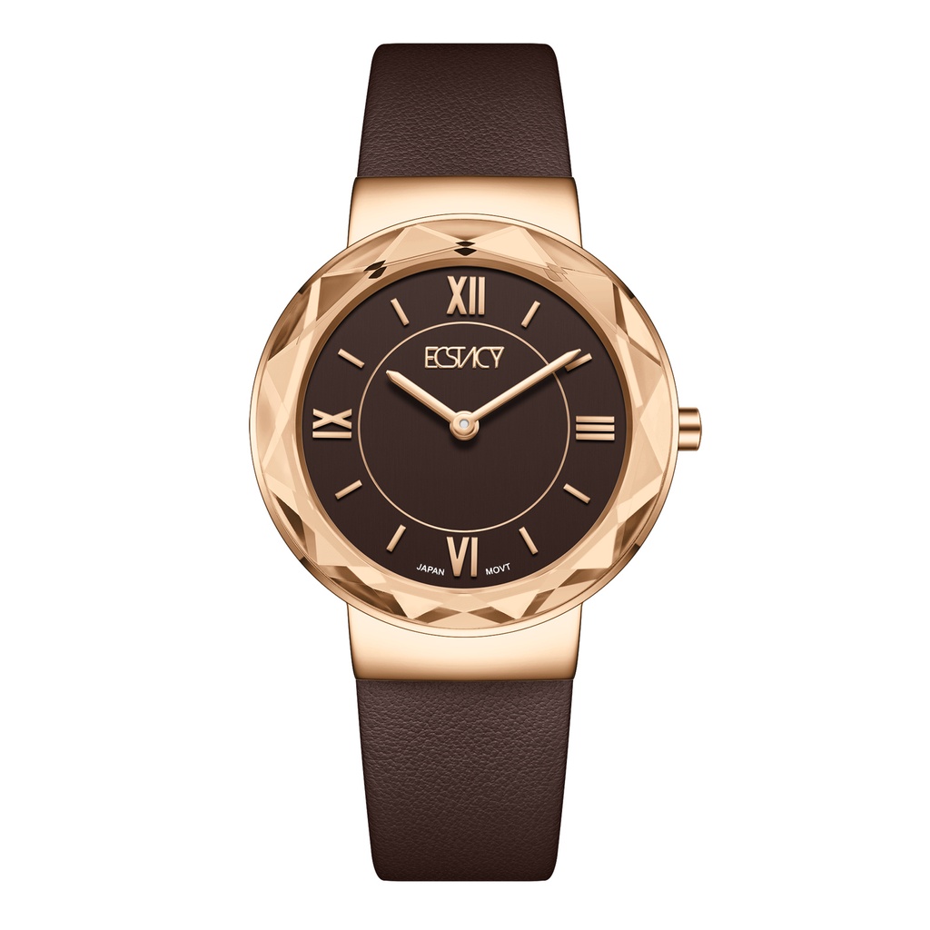 ECSTACY Women 2025 Fn Brown Dial E25506-RLDD